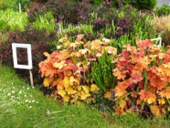 Et aussi 11 * 4000 x 3000 * (4.68MB)